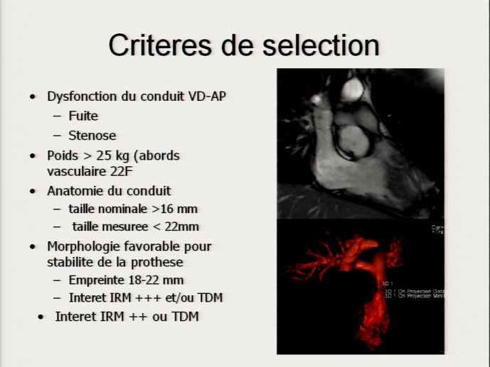 slide_0146_full