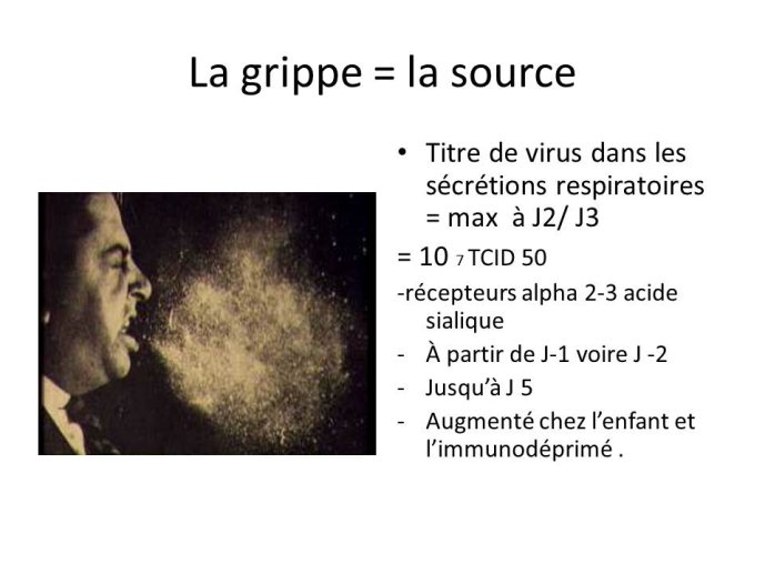 Diapositive4