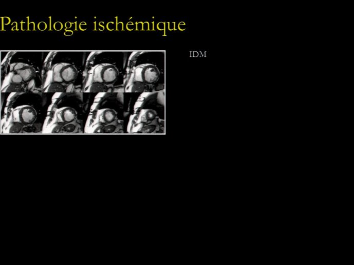 slide_0155_full