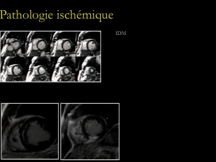 slide_0156_full