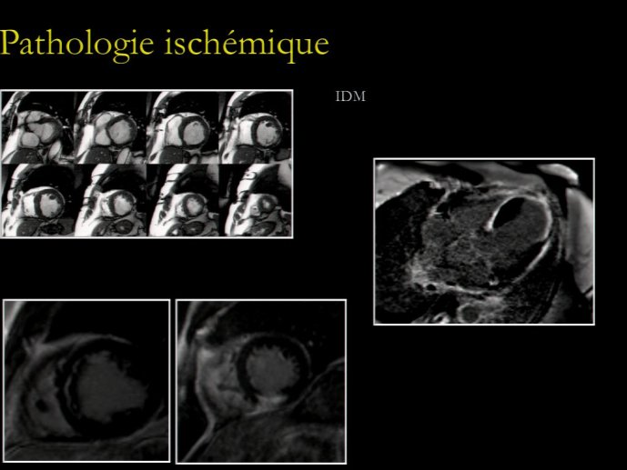 slide_0157_full