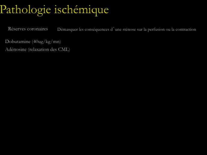 slide_0159_full