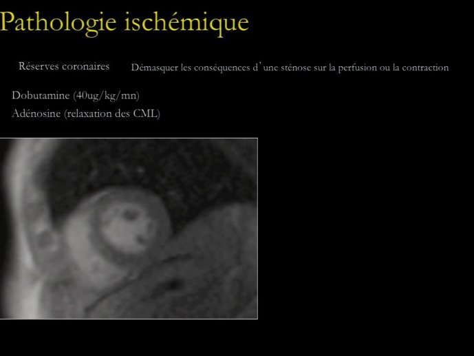 slide_0160_full