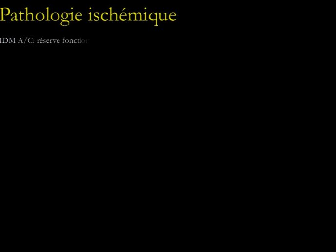 slide_0161_full