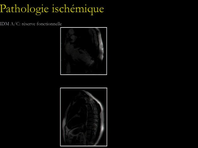slide_0162_full