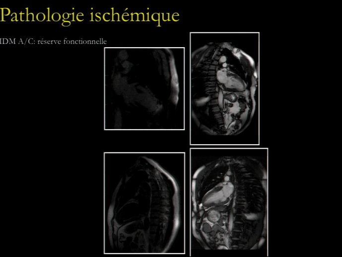 slide_0163_full