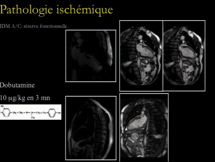 slide_0164_full