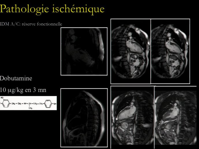 slide_0165_full
