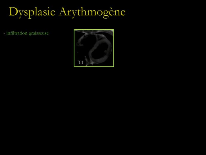 slide_0168_full