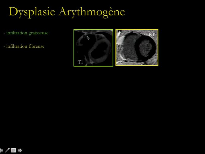slide_0169_full