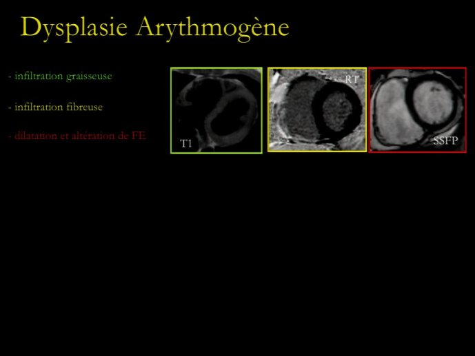 slide_0170_full