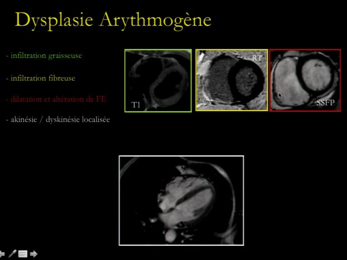 slide_0171_full
