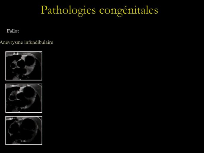 slide_0196_full