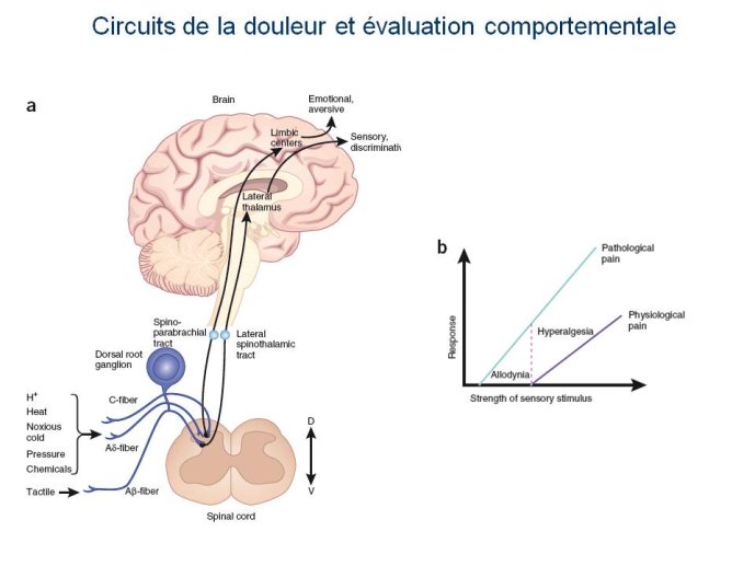 slide_0002_full