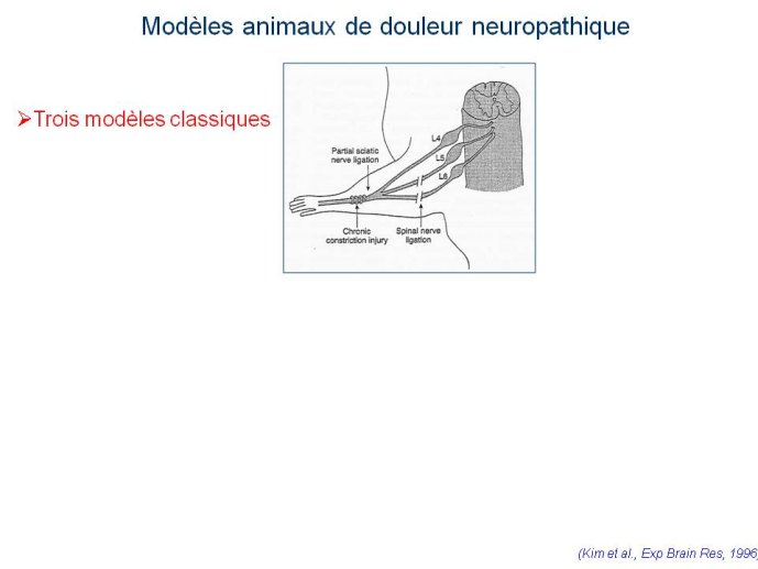 slide_0003_full