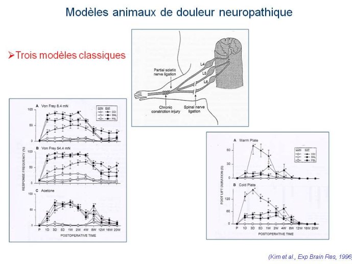 slide_0004_full
