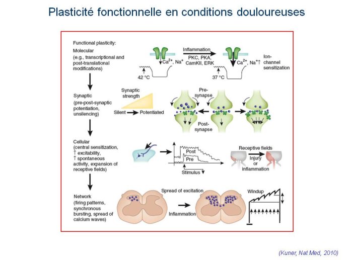 slide_0005_full
