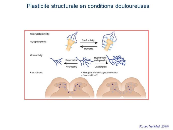 slide_0010_full