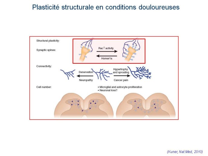 slide_0011_full