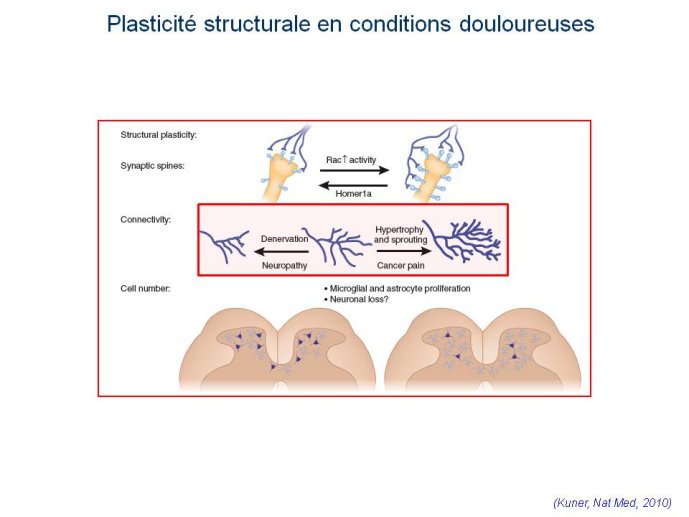 slide_0012_full