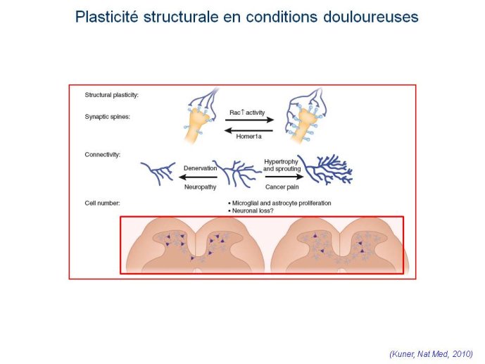slide_0013_full