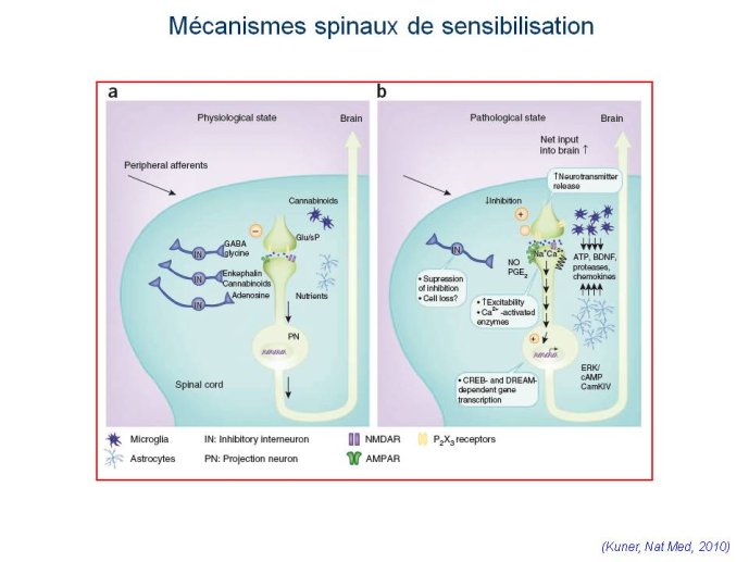 slide_0014_full