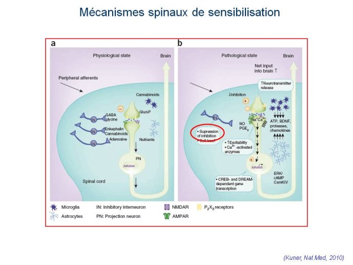slide_0015_full