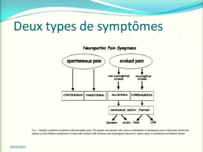 slide_0020_full