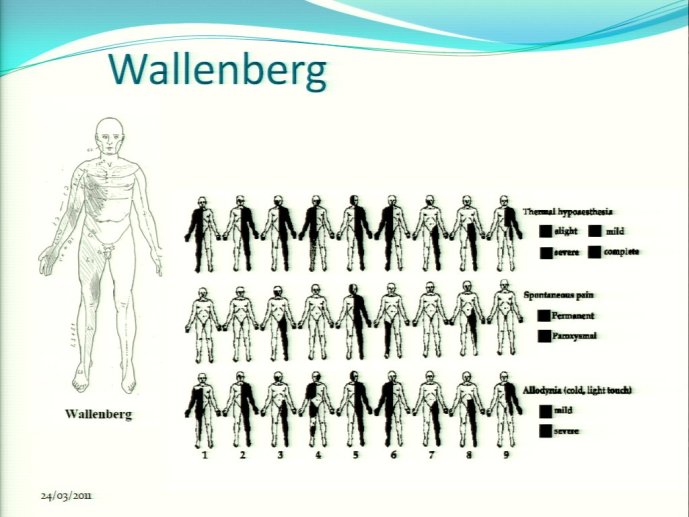 slide_0036_full