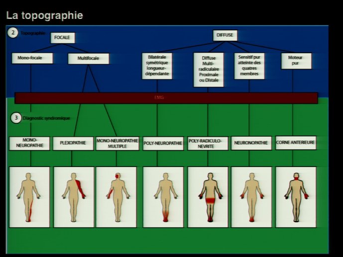 slide_0055_full