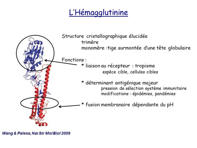 Diapositive8