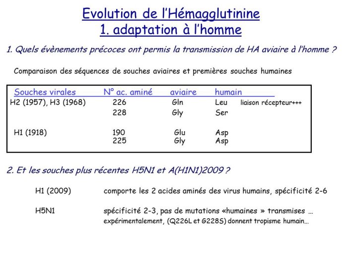 Diapositive14