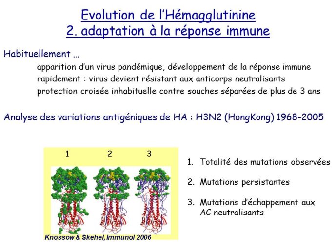 Diapositive15