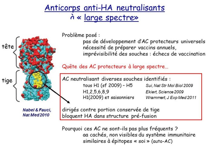 Diapositive23