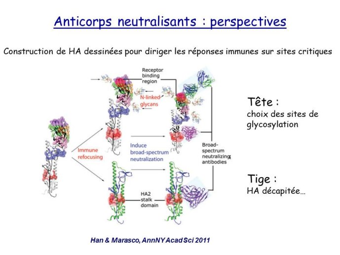 Diapositive24