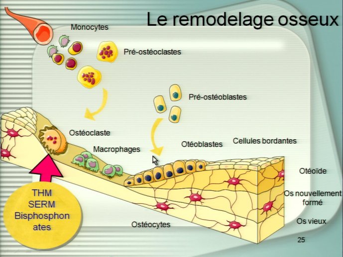 slide_0076_full