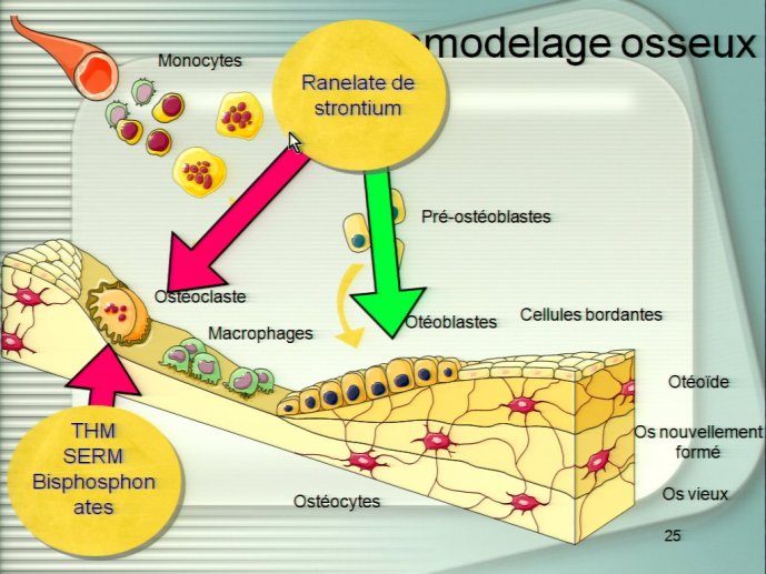 slide_0077_full