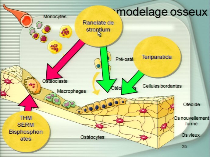 slide_0078_full
