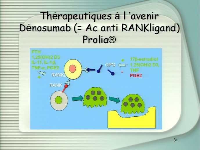 slide_0084_full