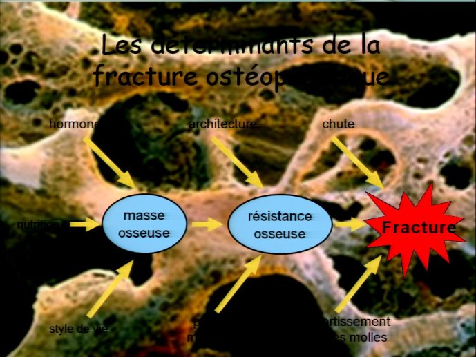 slide_0087_full