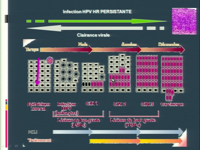 slide_0108_full
