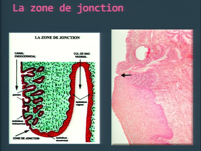 slide_0117_full