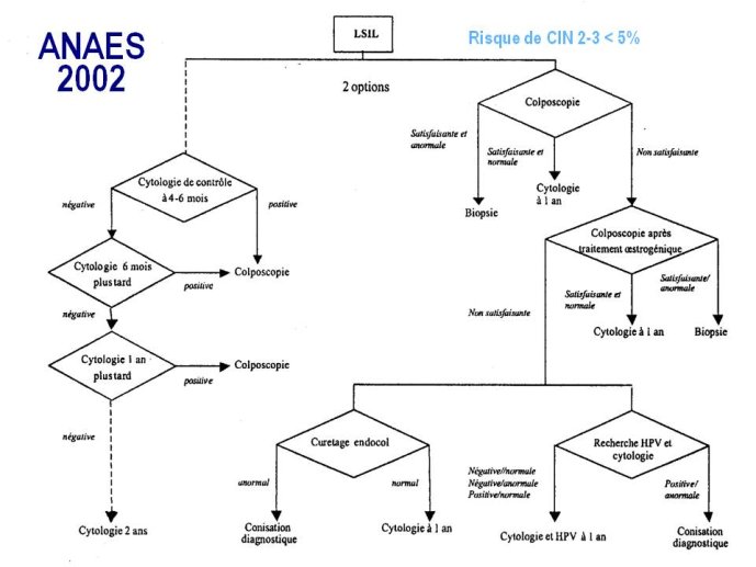 slide_0129_full