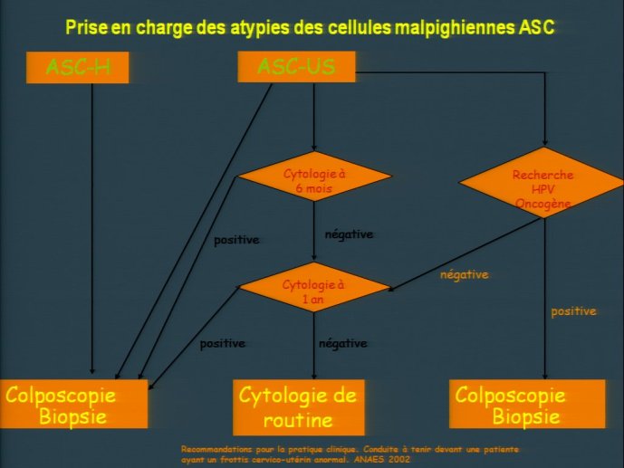 slide_0132_full
