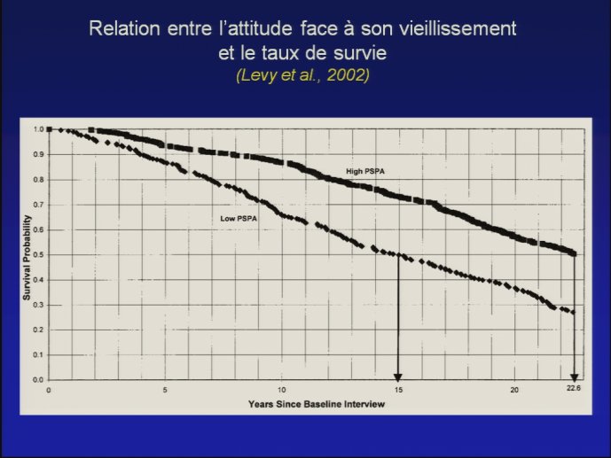 slide_0114_full