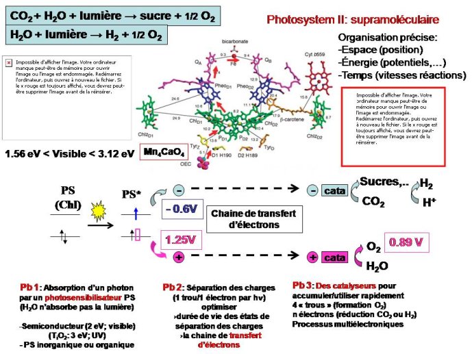 Diapositive39