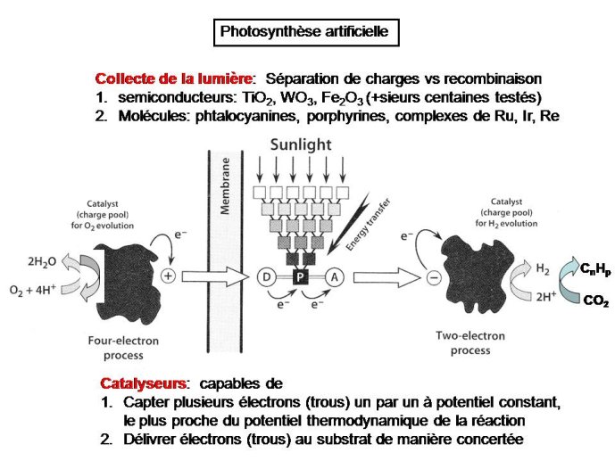 Diapositive40