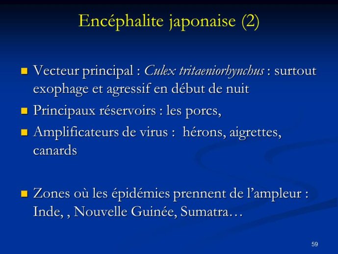 Diapositive59