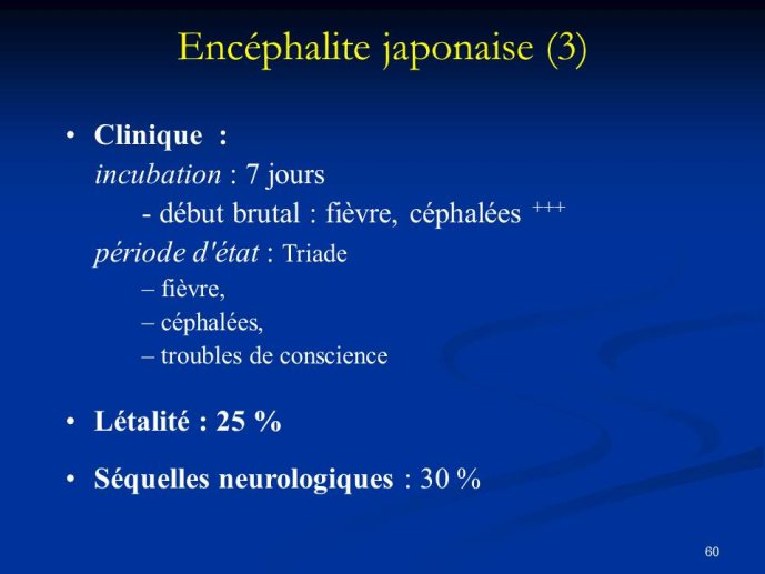 Diapositive60