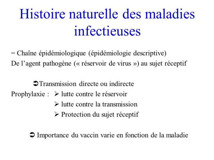 Diapositive14